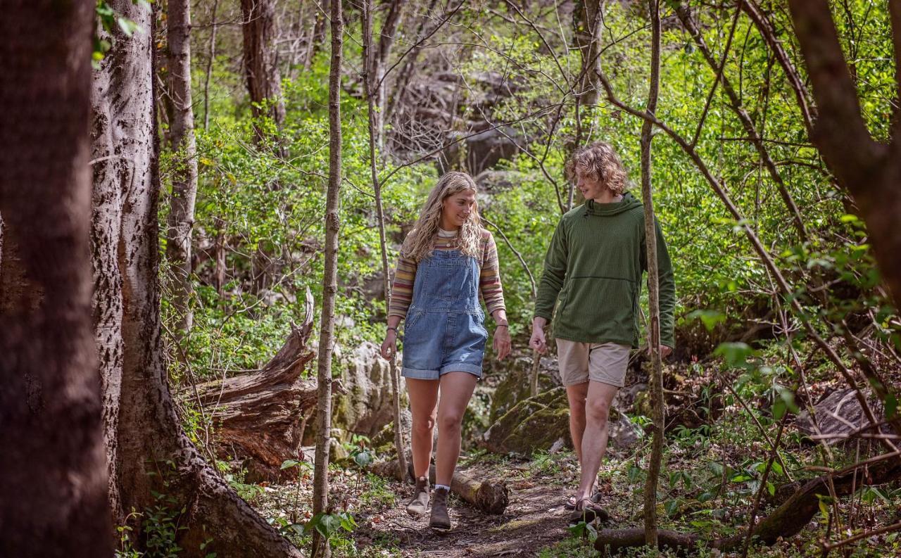 Ernie Cabin Wauhatchie Woodlands Tiny Cabin Chattanooga Exteriér fotografie